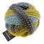 Schoppel Wolle Zauberball Crazy Sock Yarn 